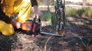 Best Organic Lawn Care Solutions  in Grissom Af, IN