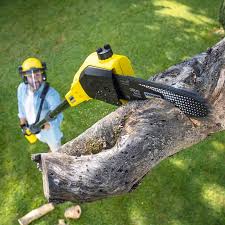 Best Lawn Irrigation Installation and Maintenance  in Grissom Af, IN