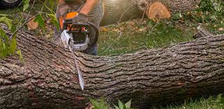 Best Lawn Drainage Solutions  in Grissom Af, IN