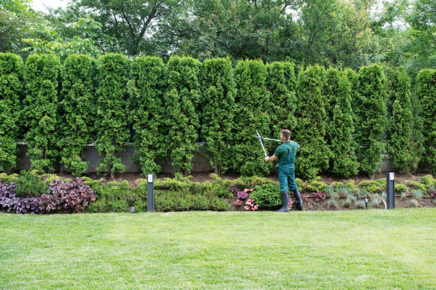 Best Lawn Pest Prevention  in Grissom Af, IN