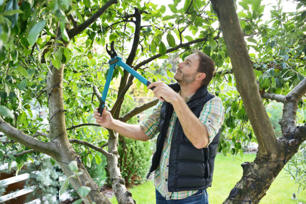 Best Tree Health Inspection  in Grissom Af, IN